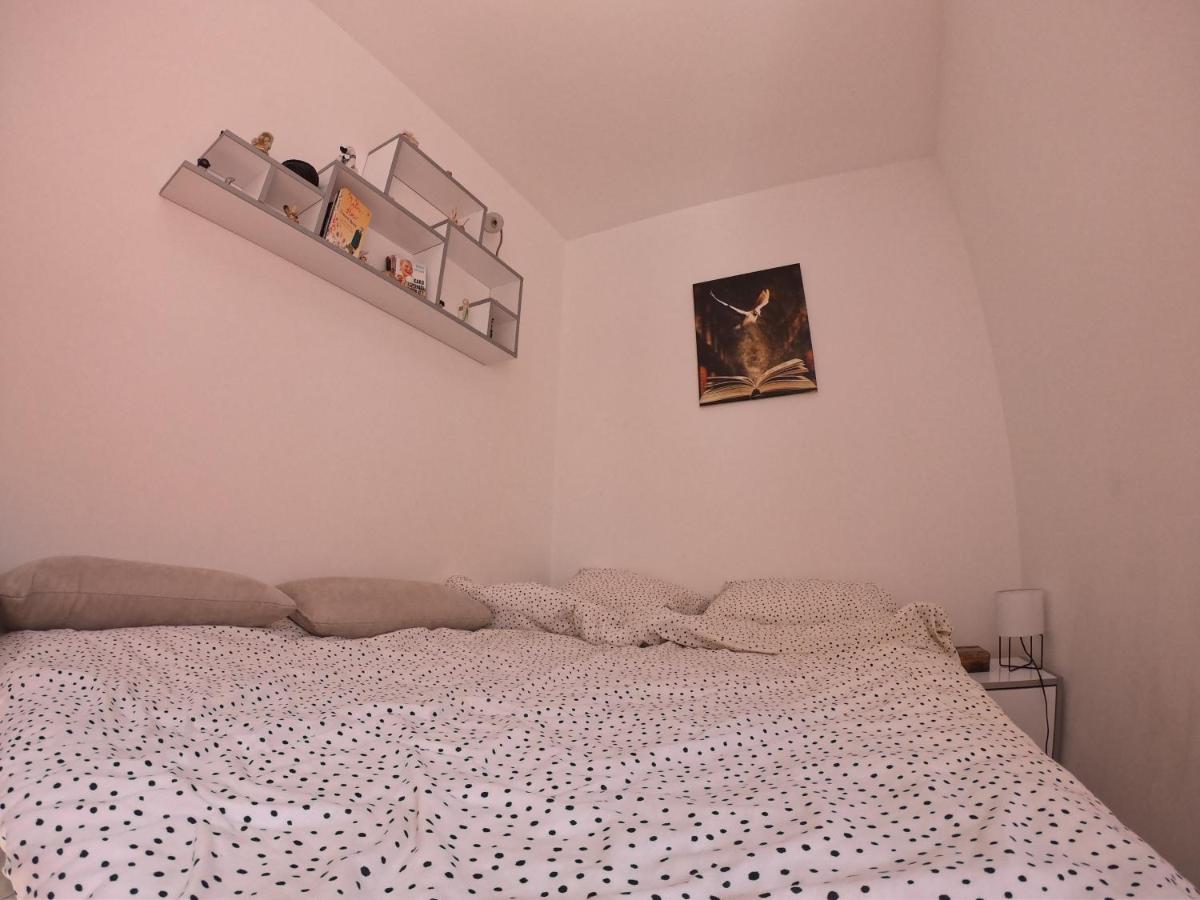 Apartmani K&V Велико-Градиште Экстерьер фото